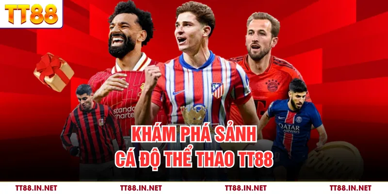 Thể Thao TT88 1 Khám phá sảnh cá độ thể thao TT88